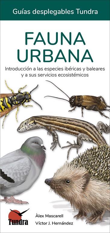 FAUNA URBANA (ED. EN CATALÀ) | 9788419624628 | HERNANDEZ, VICTOR J.