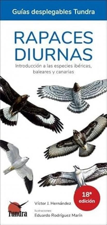 RAPACES DIURNAS (18 EDICIÓN) | 9788419624529 | HERNANDEZ, VICTOR J.