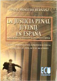 JUSTICIA PENAL JUVENIL EN ESPAÑA, LA : LEGISLACIÓN Y JURISPRUDENCIA CONSTITUCIONAL | 9788484545606 | MONTERO HERNANZ, TOMÁS