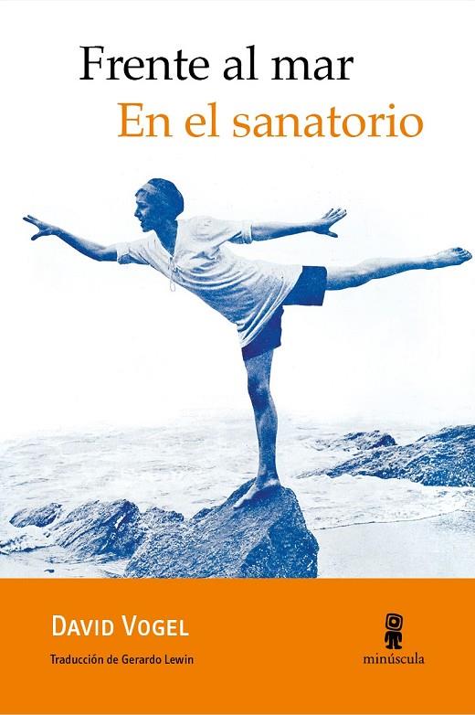 FRENTE AL MAR. EN EL SANATORIO | 9788494834875 | VOGEL, DAVID
