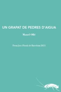 GRAPAT DE PEDRES D'AIGUA, UN | 9788412328974 | OLLÉ, MANEL