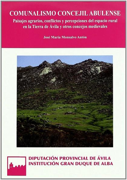 COMUNALISMO CONCEJIL ABULENSE | 9788415038139 | MONSALVO ANTÓN, JOSÉ MARÍA