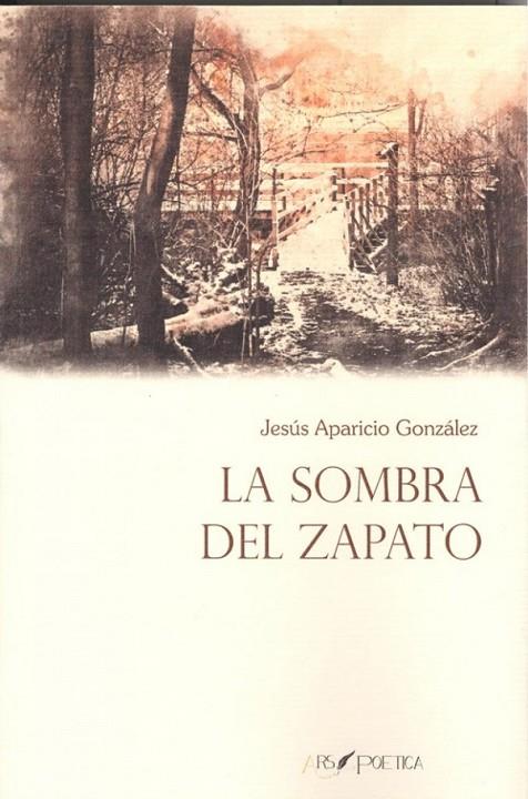 SOMBRA DEL ZAPATO, LA | 9788494891182 | APARICIO GONZÁLEZ, JESÚS