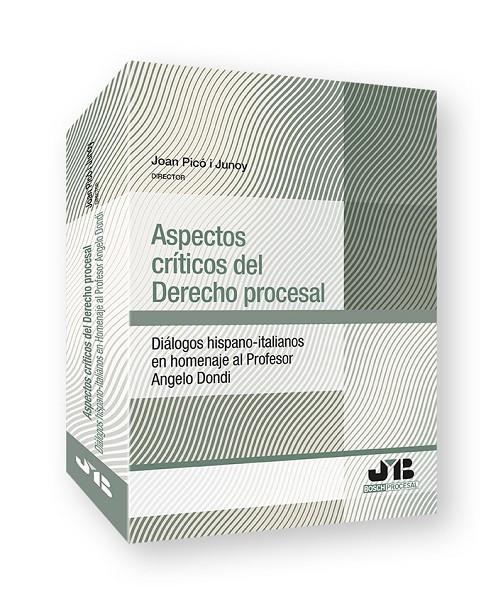 ASPECTOS CRITICOS DEL DERECHO PROCESAL | 9788419580689 | PICO I JUNOY, JOAN / JIMENO BULNES, MAR