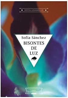 BISONTES DE LUZ | 9788494969621 | SANCHEZ, SOFIA