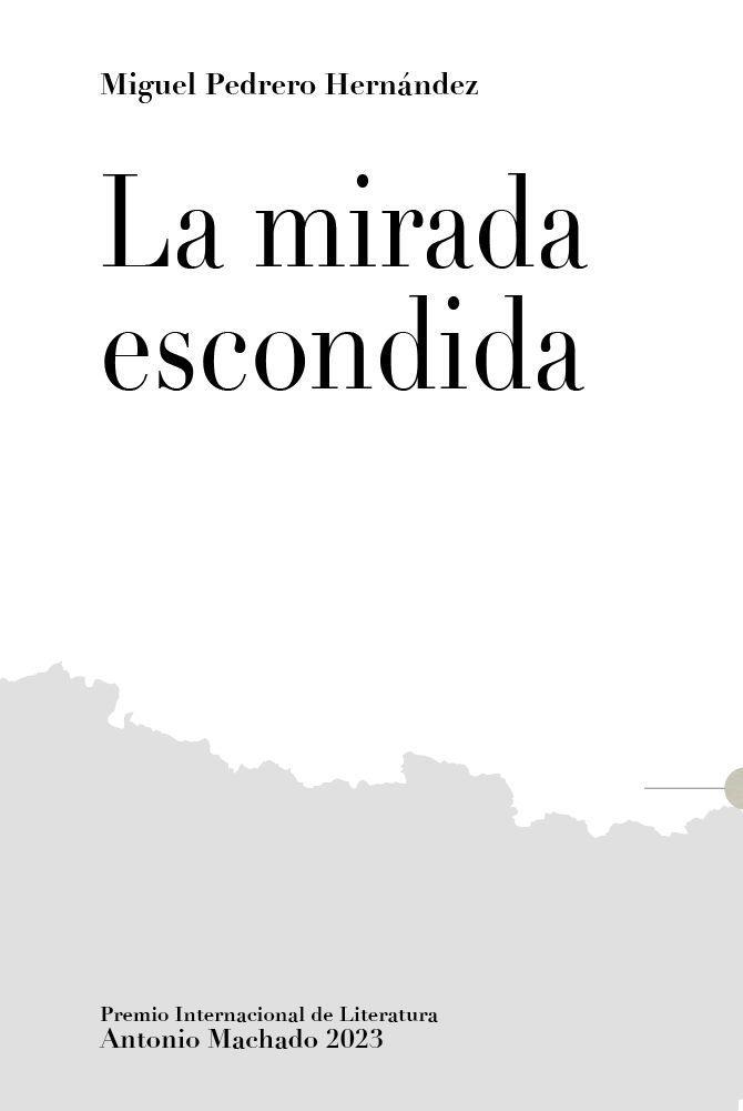 MIRADA ESCONDIDA, LA | 9788412646566 | PEDREREO HERNÁNDEZ, MIGUEL