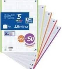 RECANVI OXFORD 250 COLORS VIUS | 8412771039745