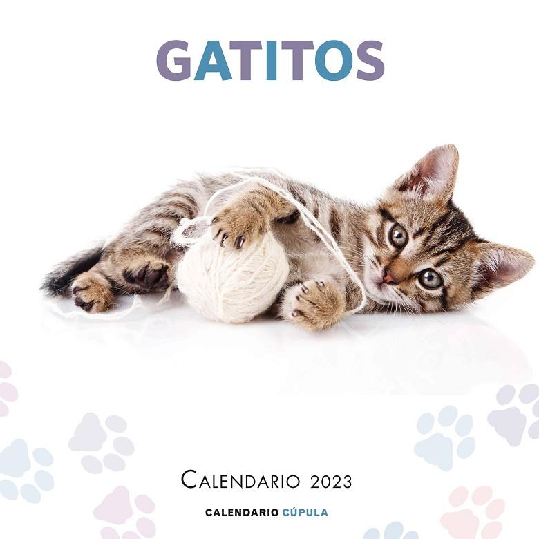 CALENDARIO GATITOS 2023 | 9788448029784