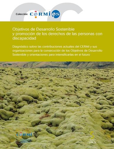 OBJETIVOS DE DESARROLLO SOSTENIBLE Y PROMOCIÓN DE LOS DERECHOS DE LAS PERSONAS CON DISCAPACIDAD | 9788416668748 | CERMI (COMITÉ ESPAÑOL DE REPRESENTANTES DE PERSONAS CON DISCAPACIDAD)