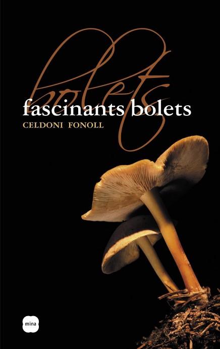 FASCINANTS BOLETS | 9788496499508 | PASCUAL, RAMON