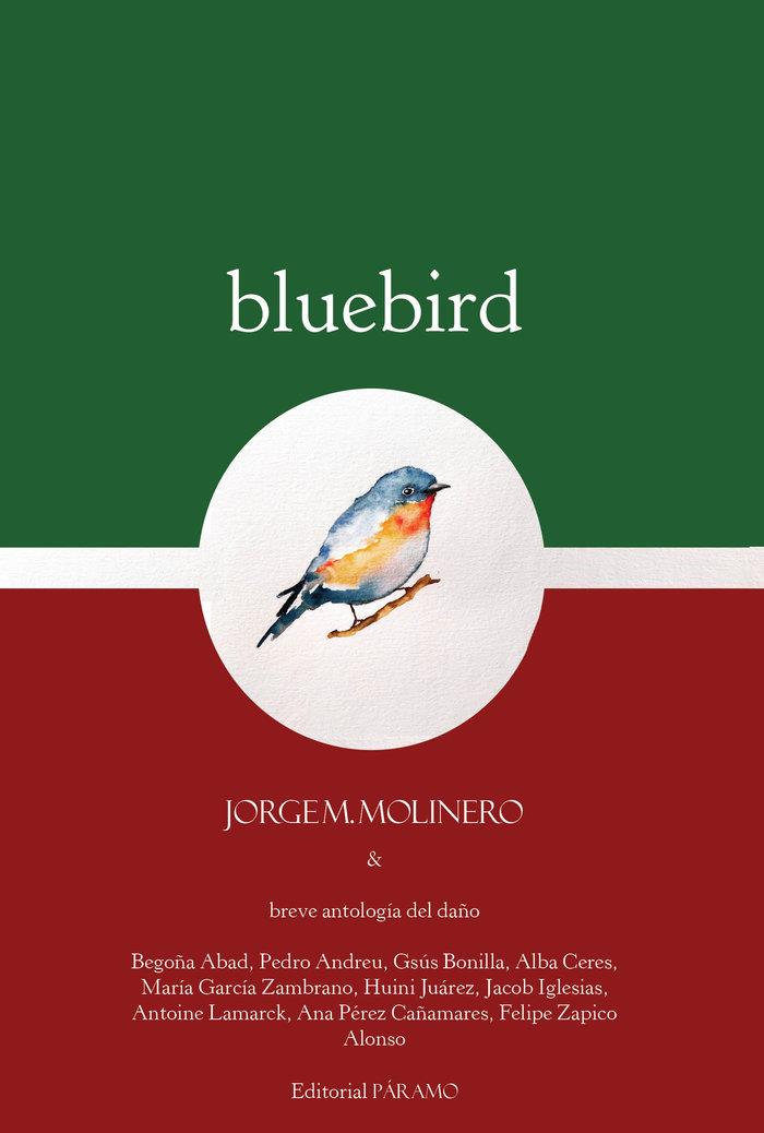 BLUEBIRD | 9788412048469 | M. MOLINERO, JORGE