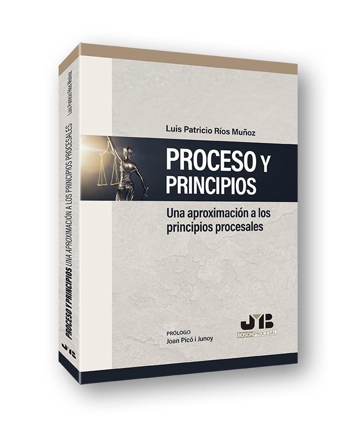 PROCESO Y PRINCIPIOS. UNA APROXIMACION A LOS PRINCIPIOS PROCESALES | 9788412252781 | RIOS MUÑOZ, LUIS PATRICIO